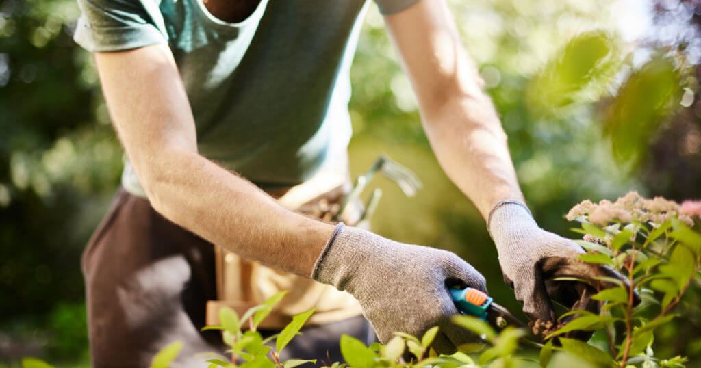 Common Injuries While Gardening.